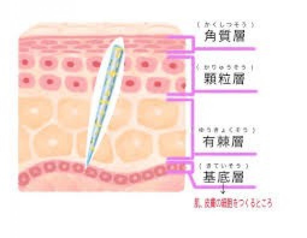 ☆V3ﾌｧﾝﾃﾞｰｼｮﾝのすごいところその③☆