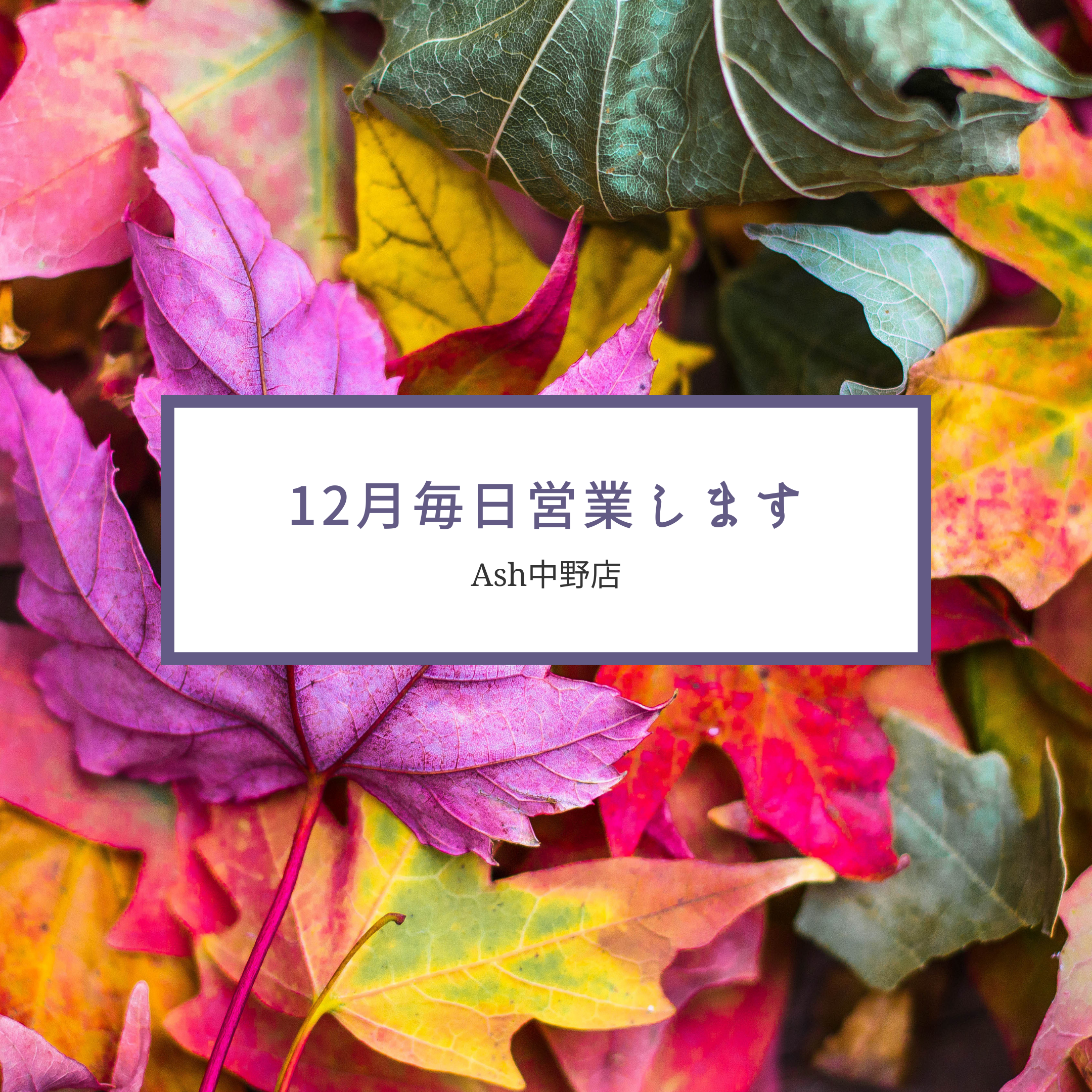 12月はお客様とスタッフの健康を守りながら、楽しく毎日営業いたします。