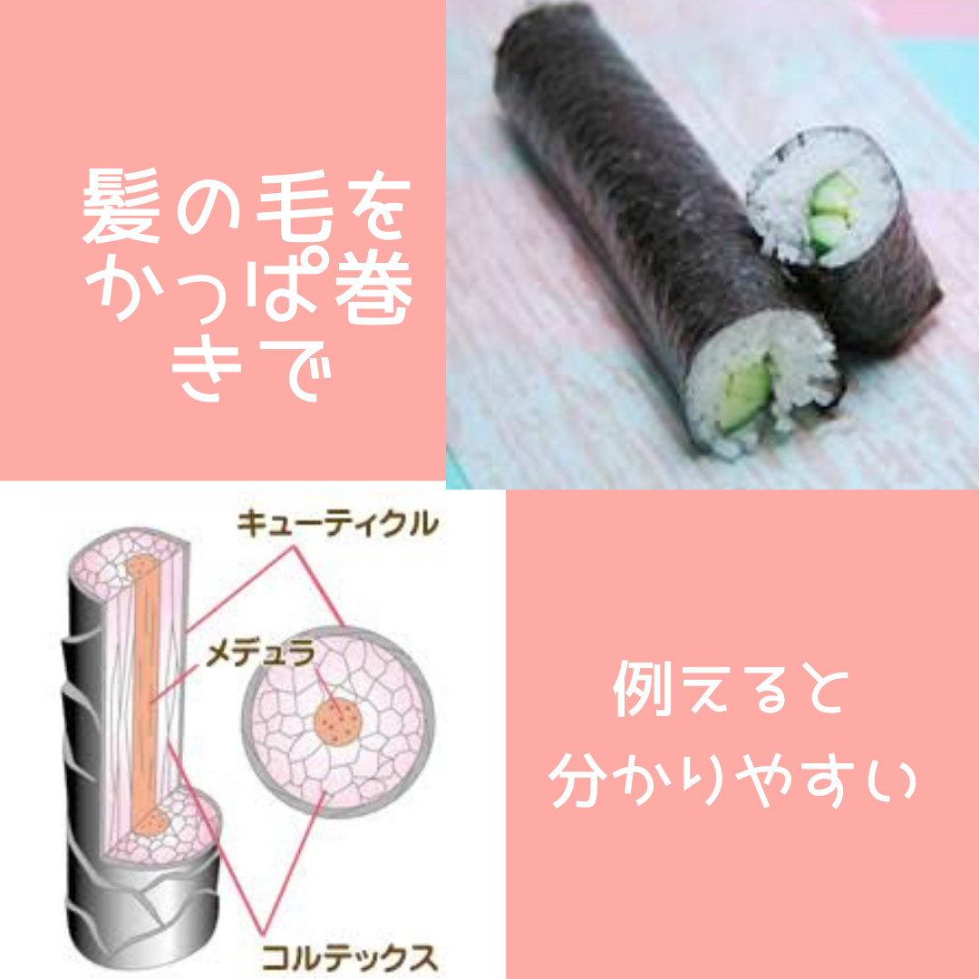 髪の毛をかっぱ巻きで例えます！想像して下さい。