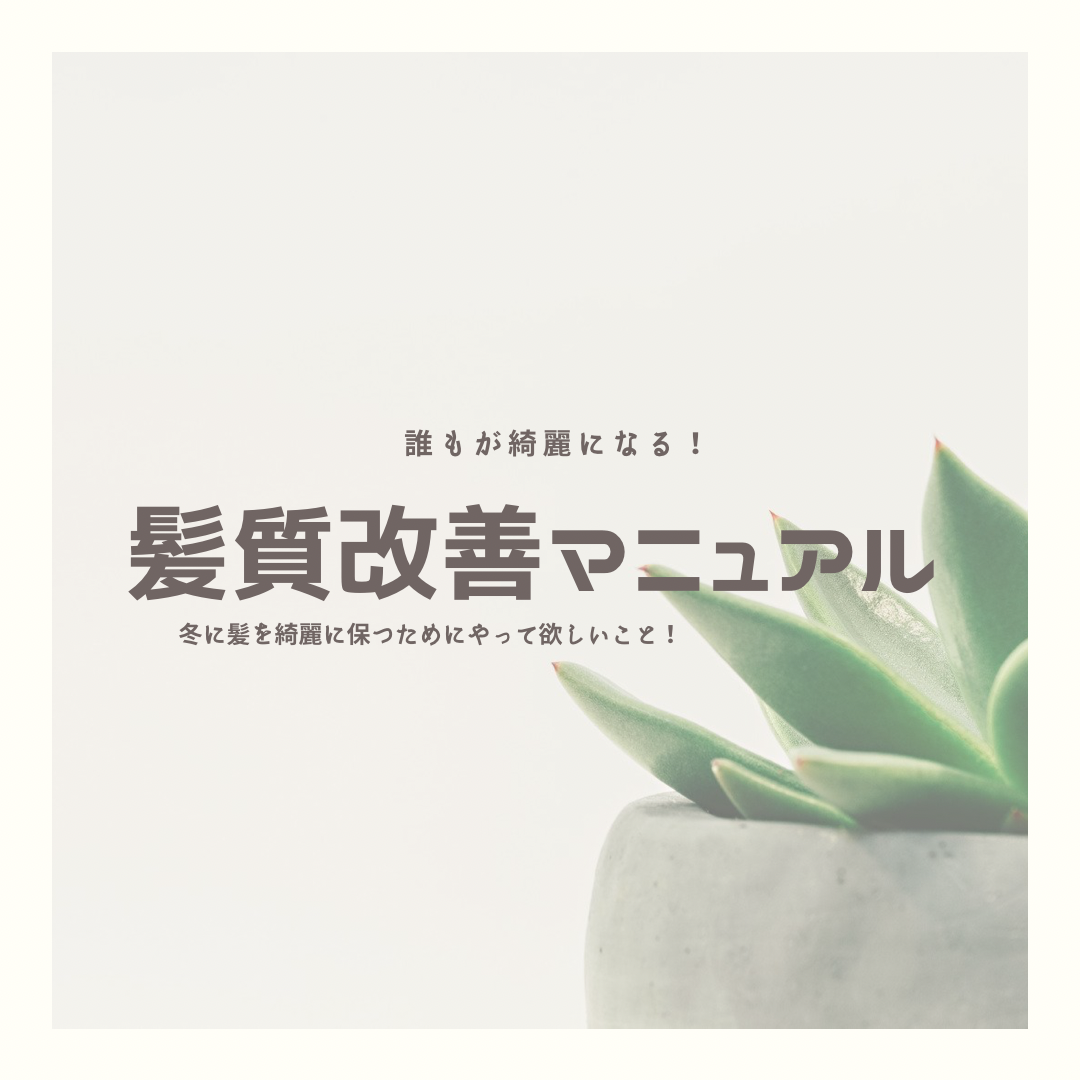 髪質改善の完全マニュアル