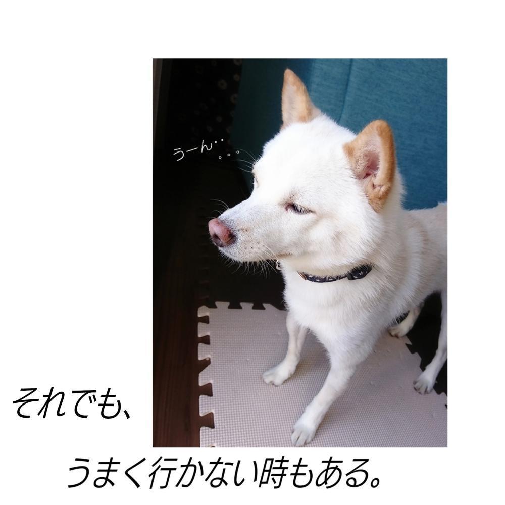 ★それでもくせが強く直りにくい方は