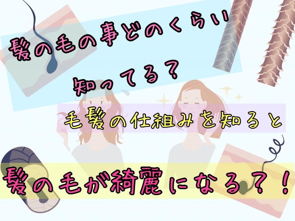 髪の毛の事どのくらい知ってる？毛髪の仕組みを知ると髪が綺麗になるかも♪