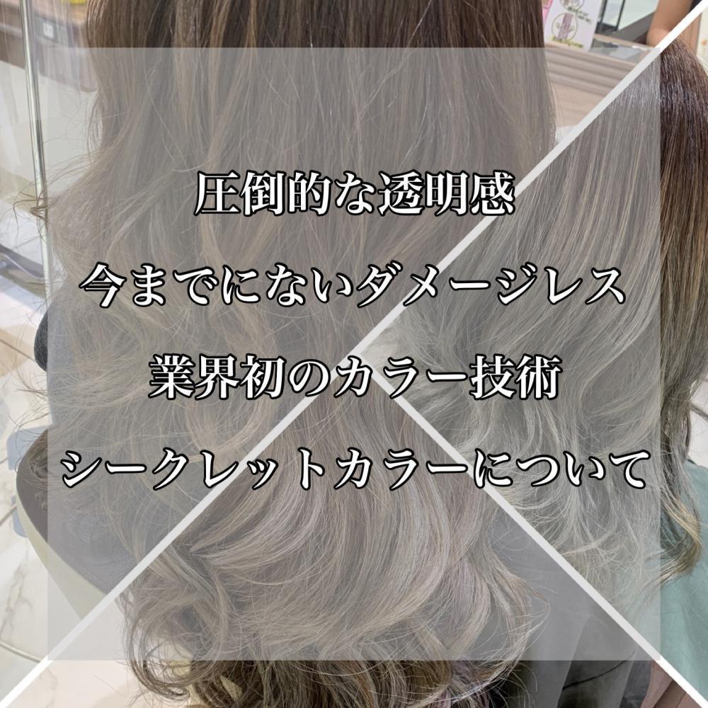 一度したらやめられない【最新カラー技術シークレットカラー】