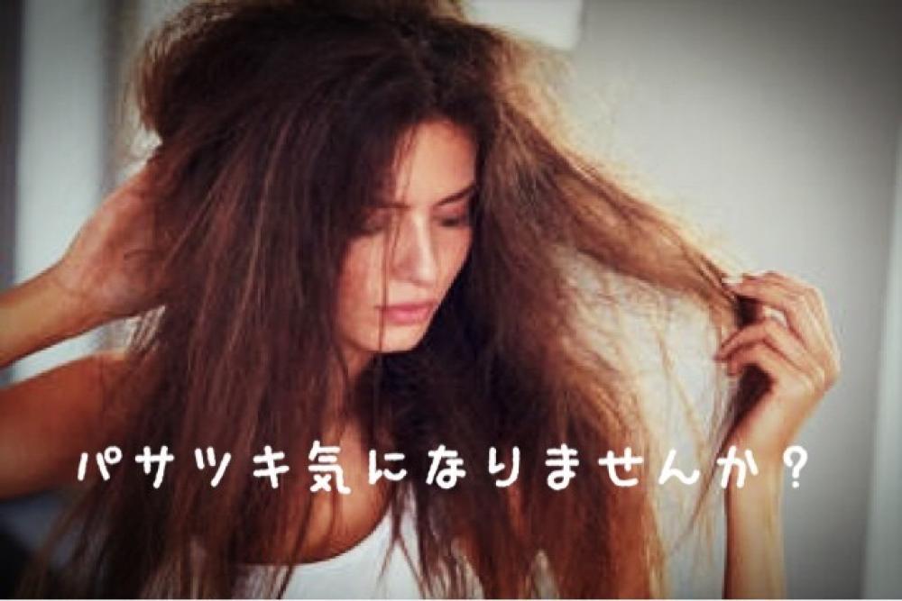 髪の毛のパサパサ気になりませんか？
