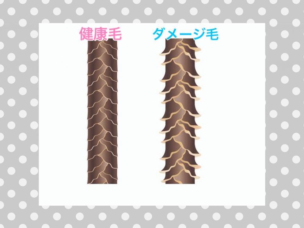 どうしていたむの？