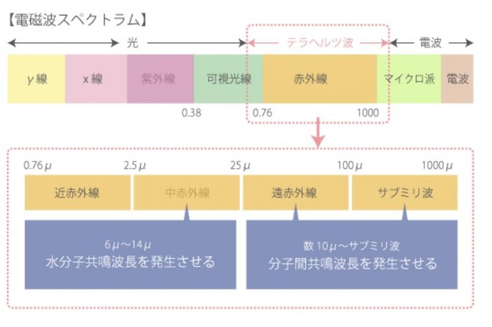 髪の水分子が活性化すると・・・