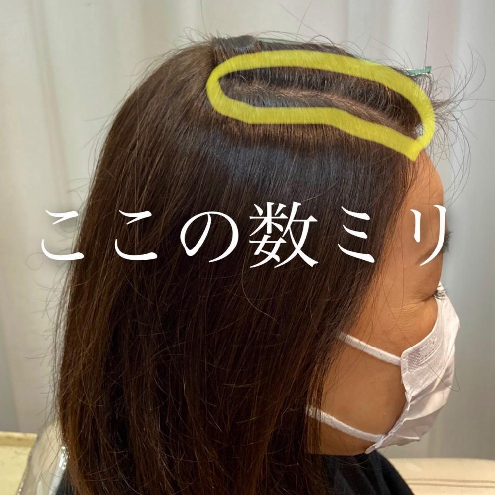 白髪があるからこそ楽しめるヘアカラーがあります。