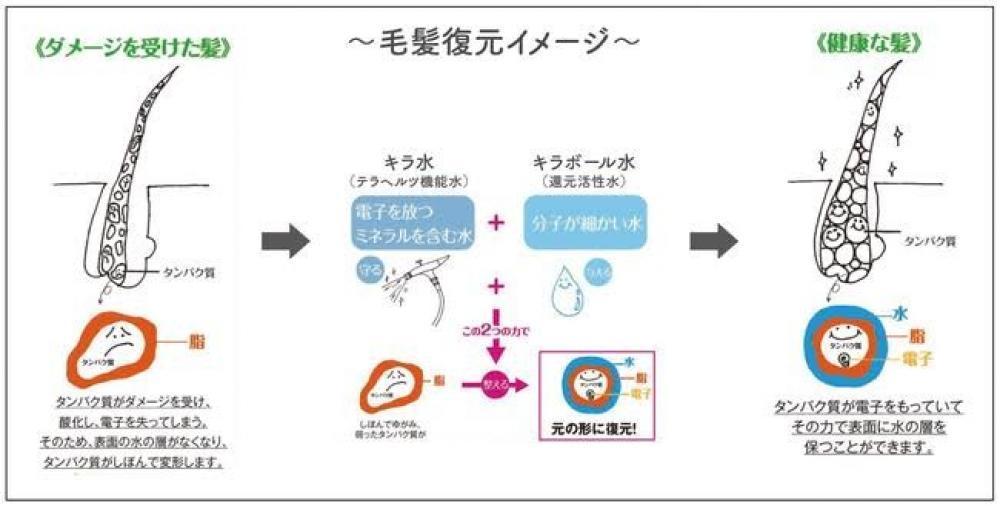 その中でも美容室はやはり『髪』に対しての効果に着目しました！その効果とは？