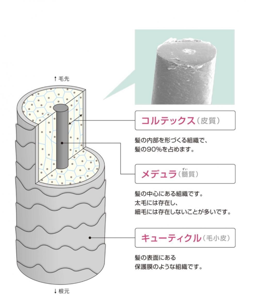 完全に元通りには実は！