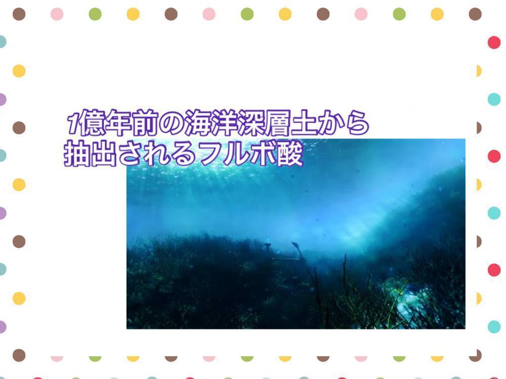 話題の成分《フルボ酸》
