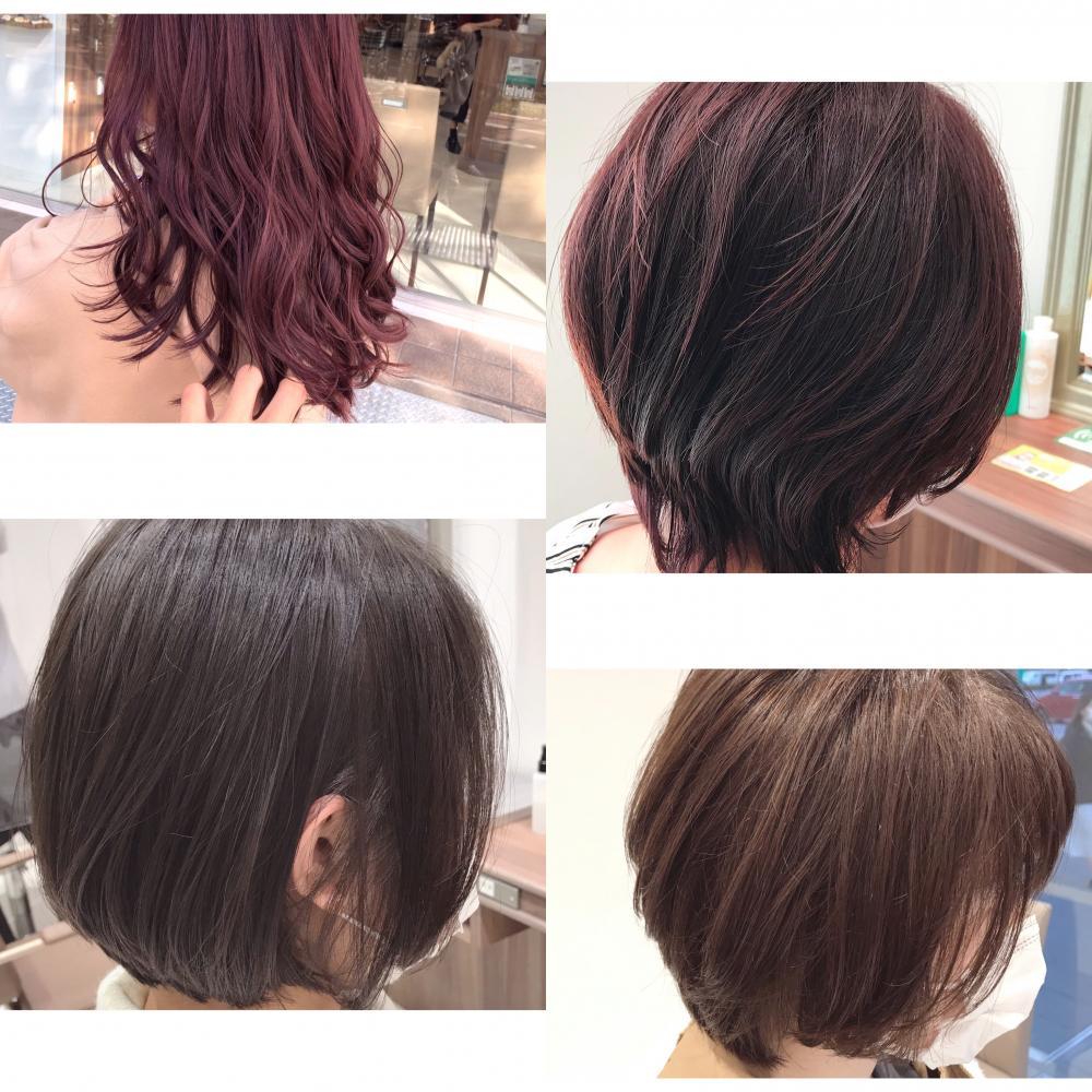 春にオススメ！イルミナカラー特集♪