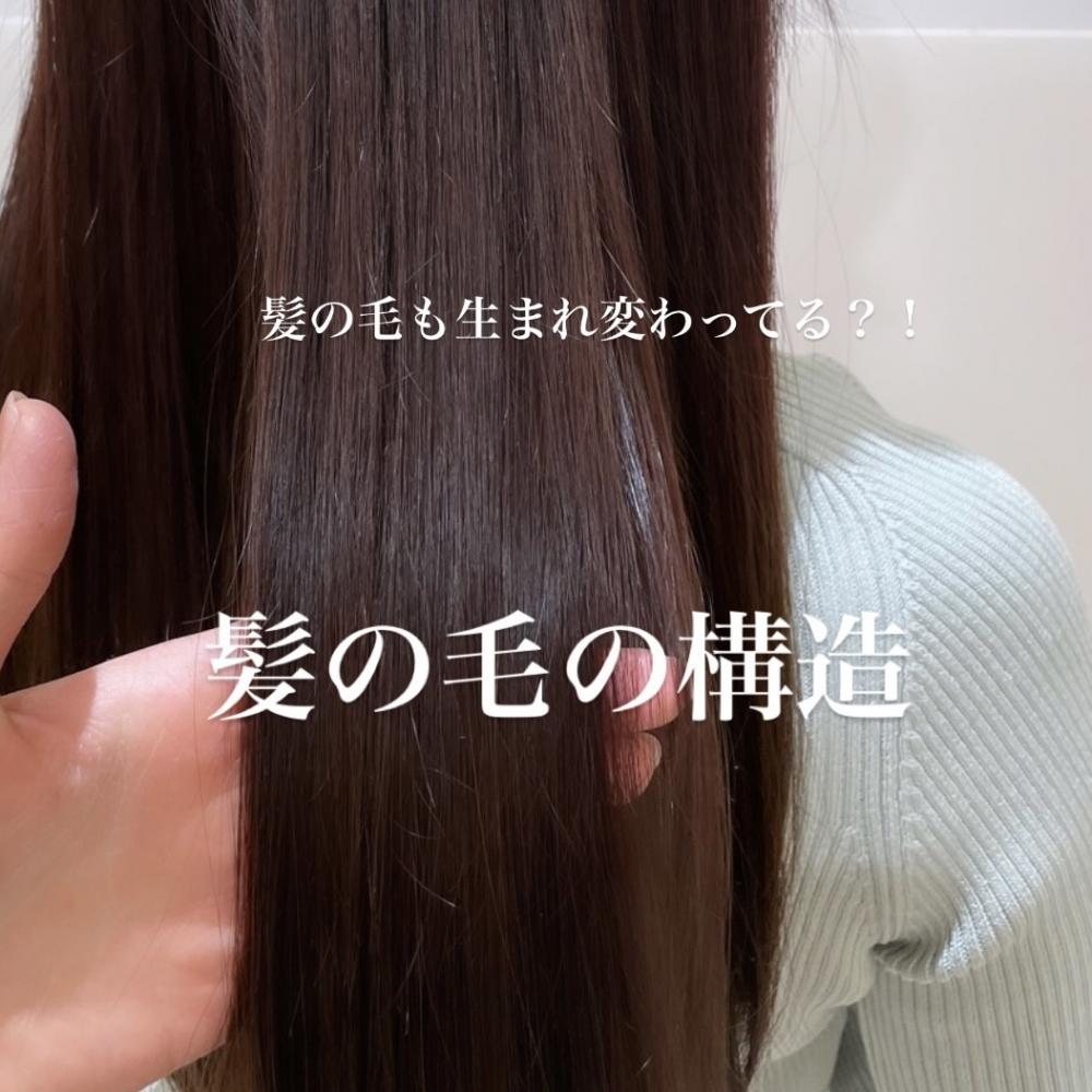 髪の毛の構造