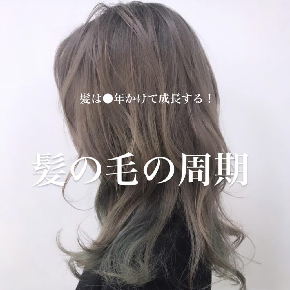 髪の毛の周期