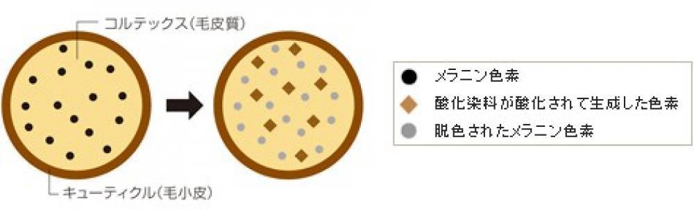 ヘアマニキュア