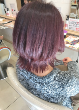 パープルピンク