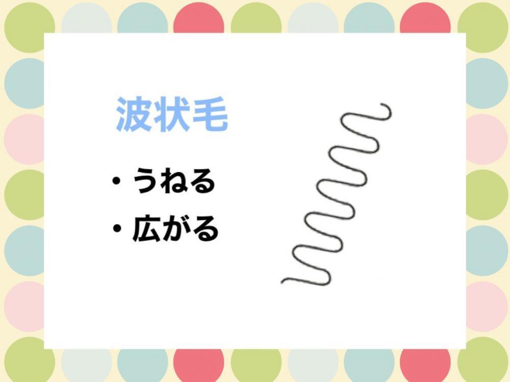 くせ毛の種類①波状毛