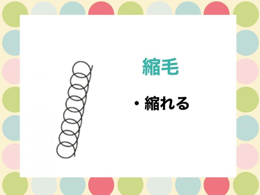 くせ毛の種類②縮毛