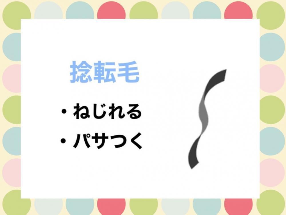 くせ毛の種類③捻転毛