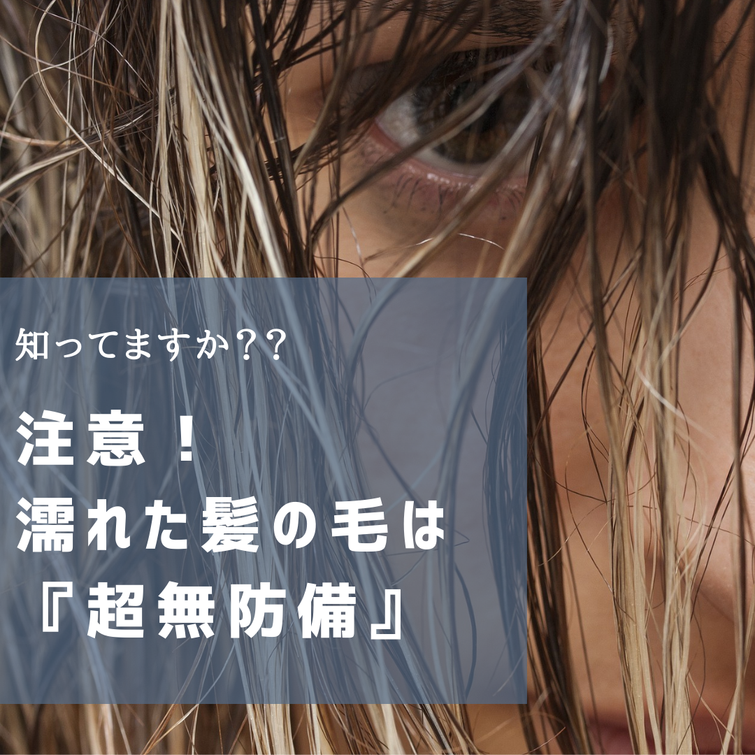 濡れたままの髪の毛は無防備！