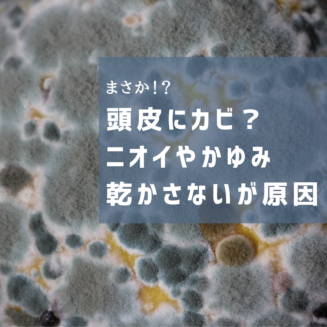 濡れたままの状態が続くとニオイの原因に！