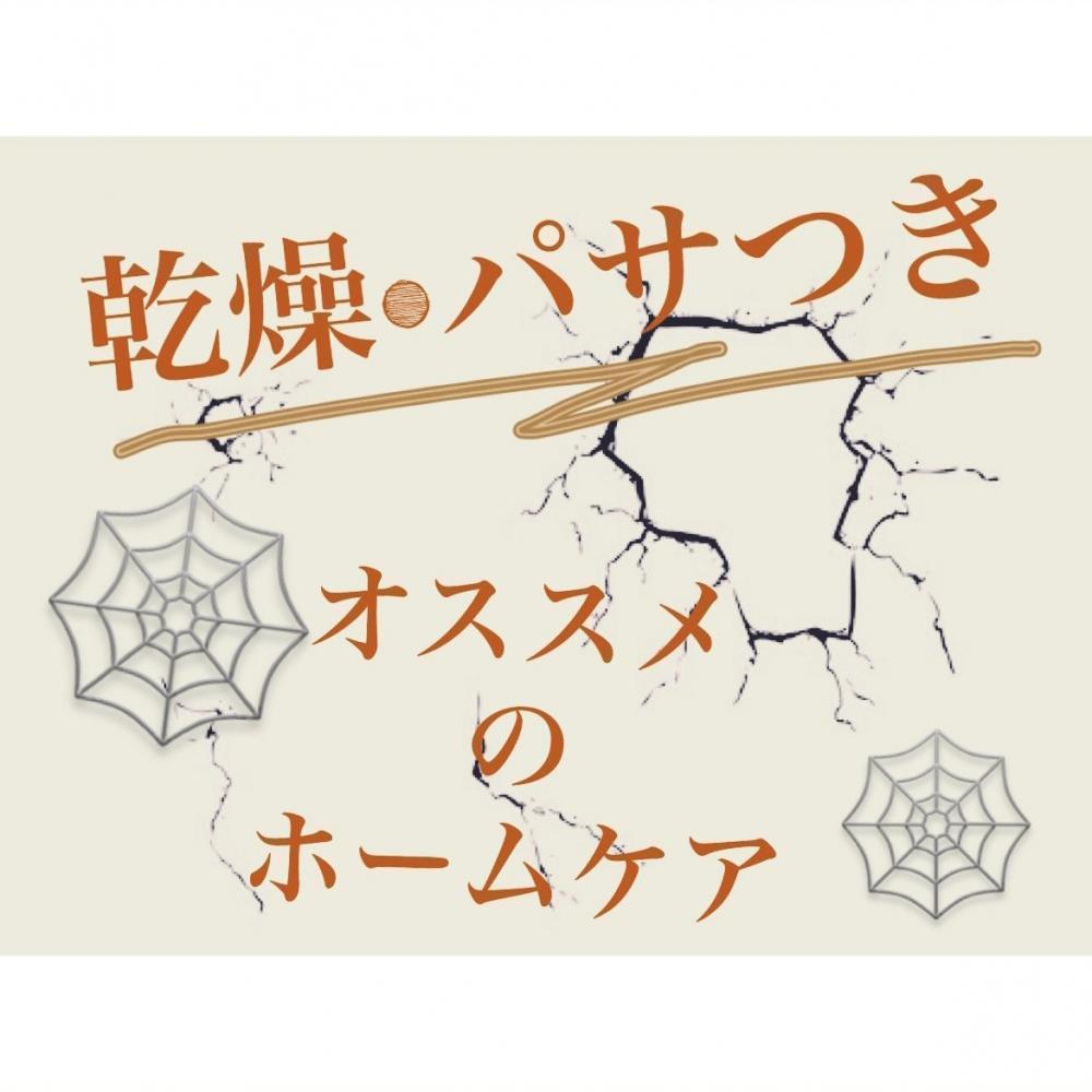 乾燥•パサつく髪のオススメホームケア