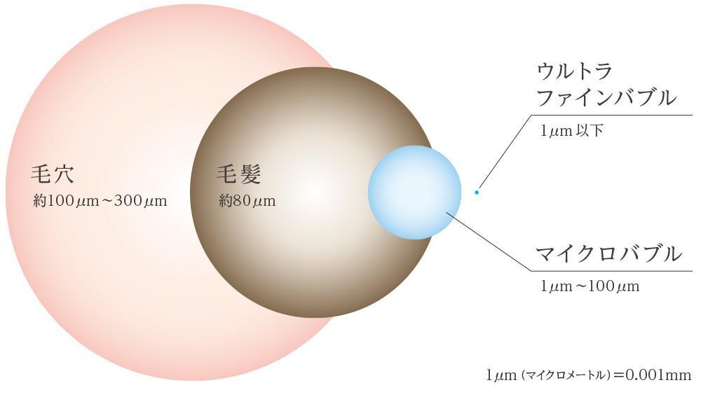 頭皮・毛穴の汚れスッキリ洗浄