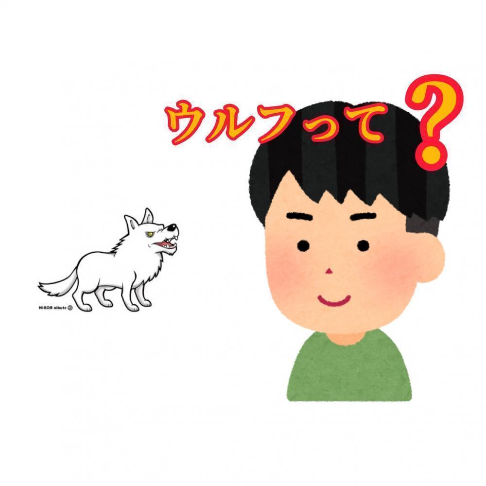 そもそもウルフカットって？
