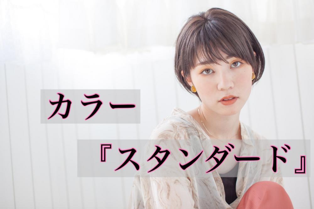 カラー『スタンダード』