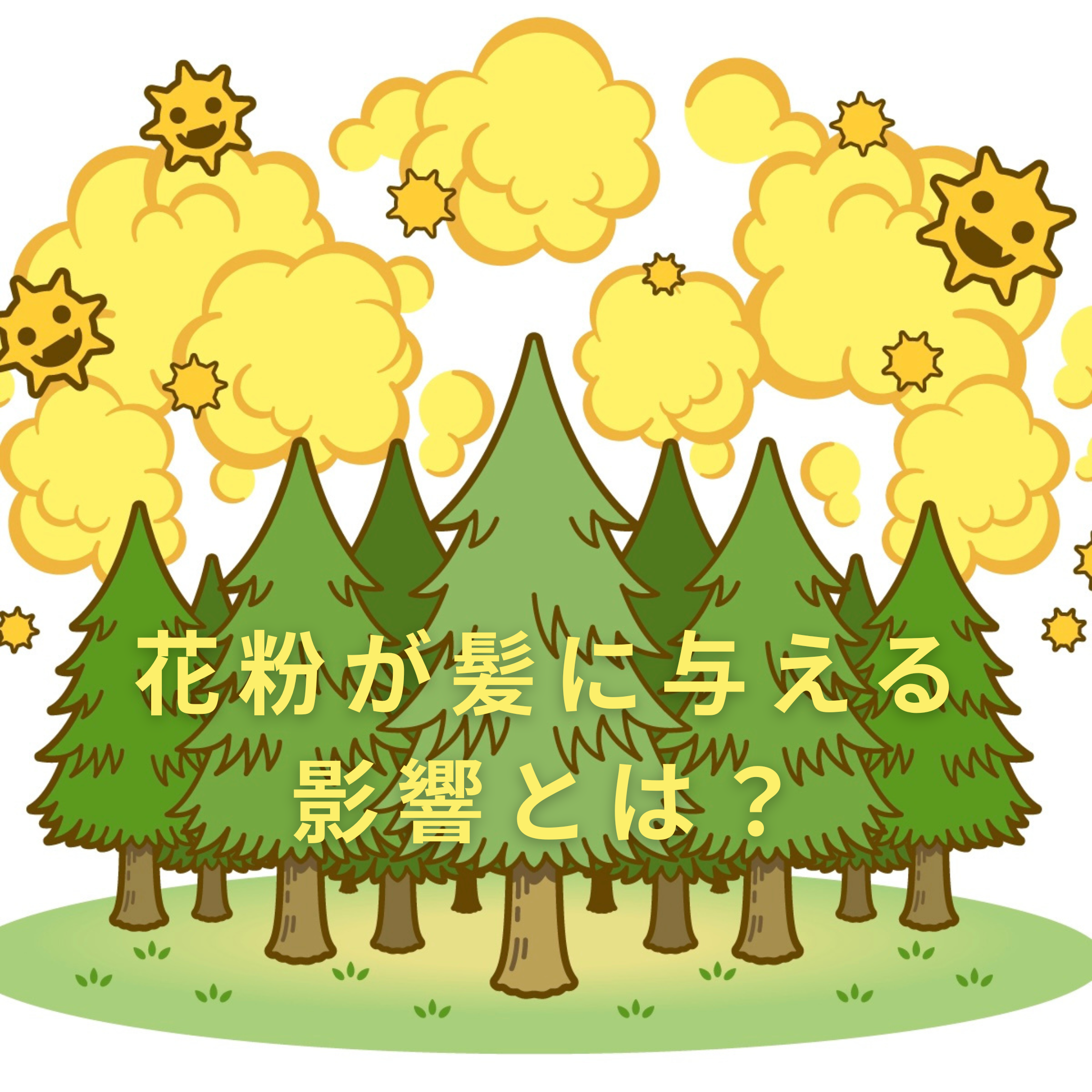 花粉が髪に与える影響とは？？