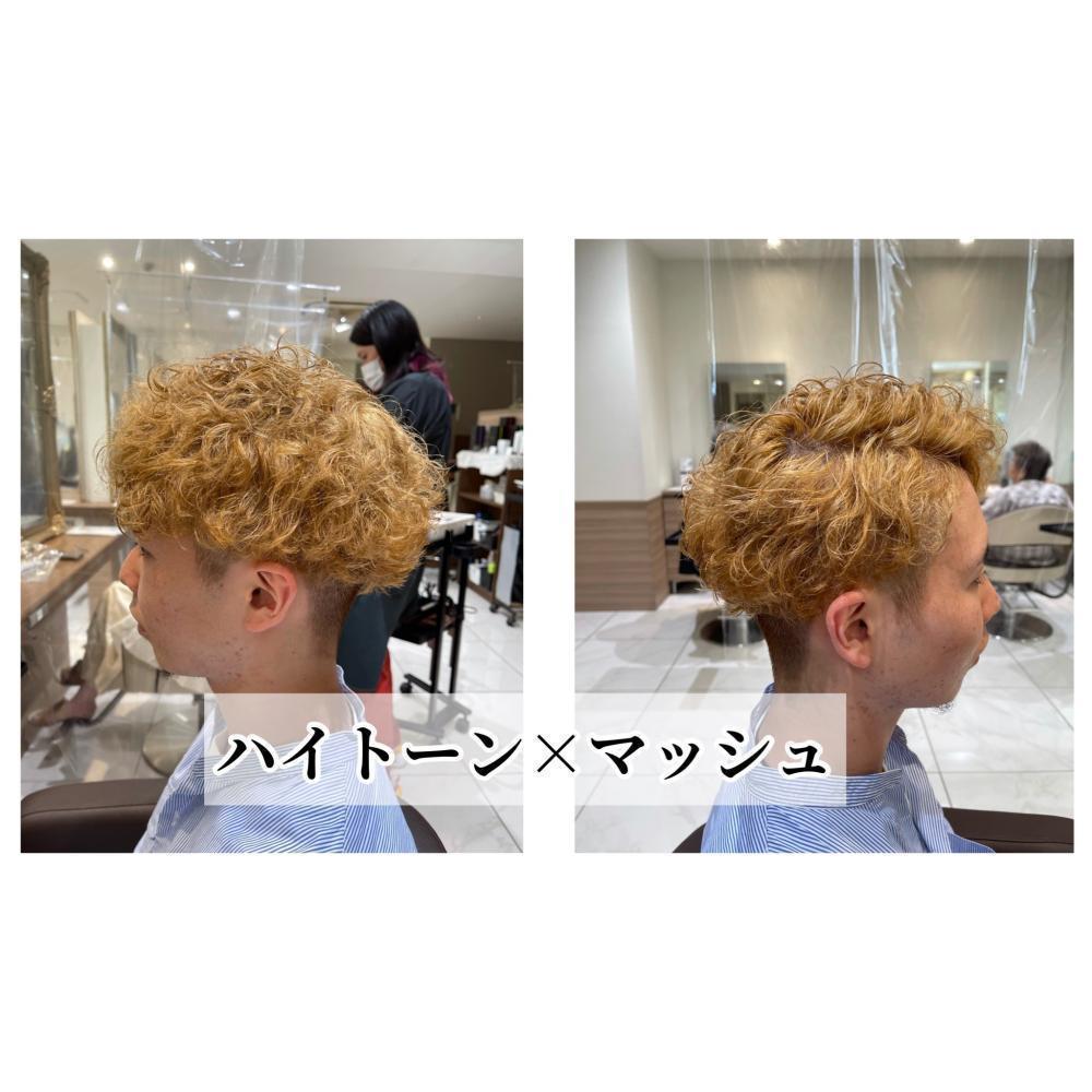 ハイトーン×マッシュ