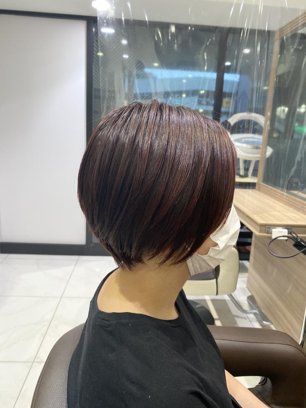 ツヤ髪ショート②ローグラデーションミニボブ