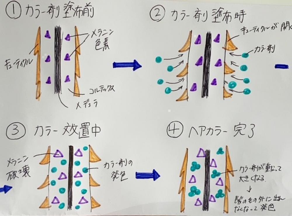 カラーが染まる仕組み