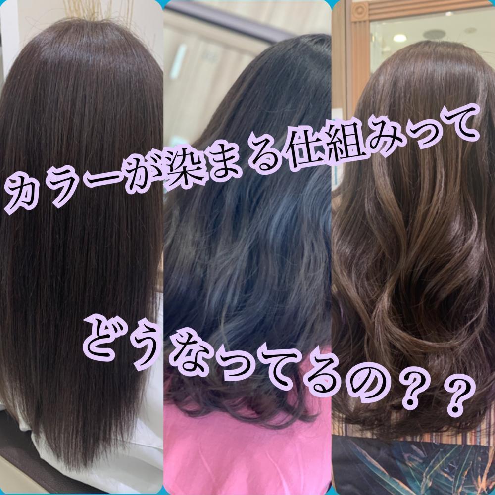 【ヘアカラーの染める仕組みってどうなってるの？】