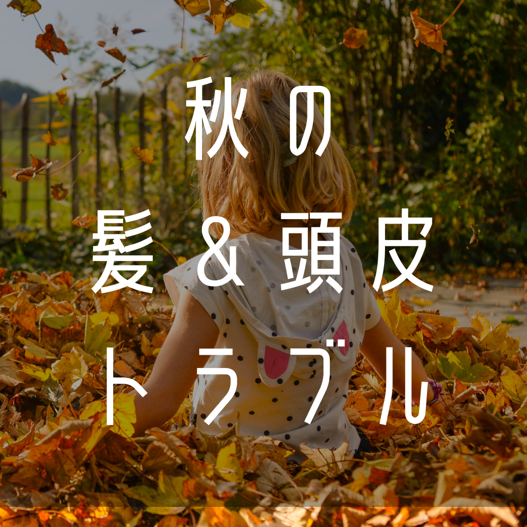 秋の髪＆頭皮トラブルについて