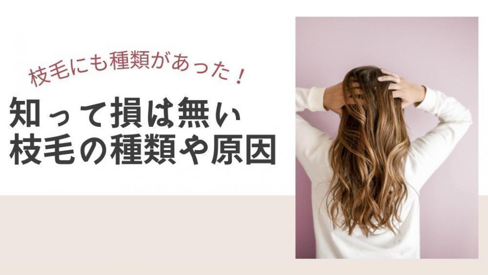 枝毛の種類と原因