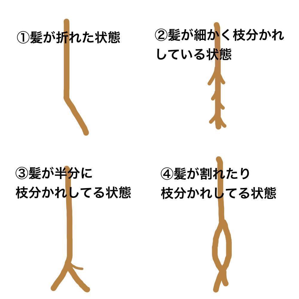 枝毛にも種類がある