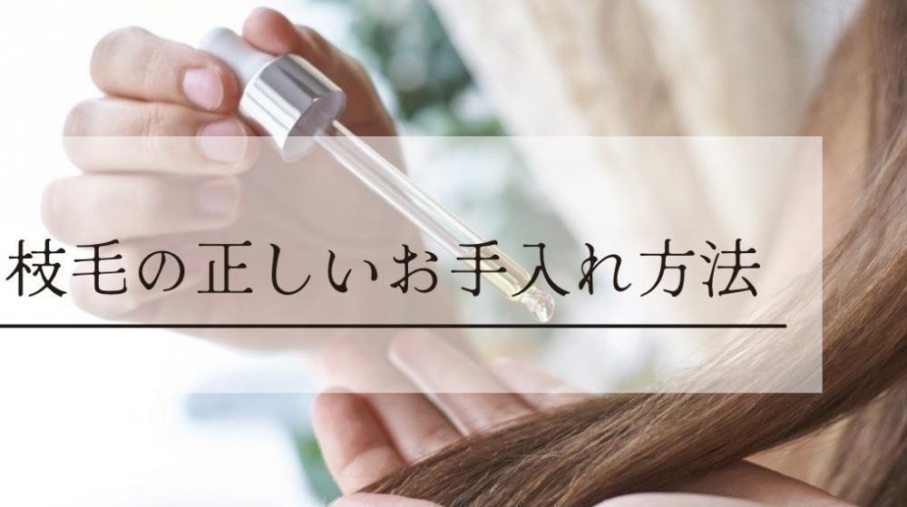 枝毛の正しいお手入れ方法