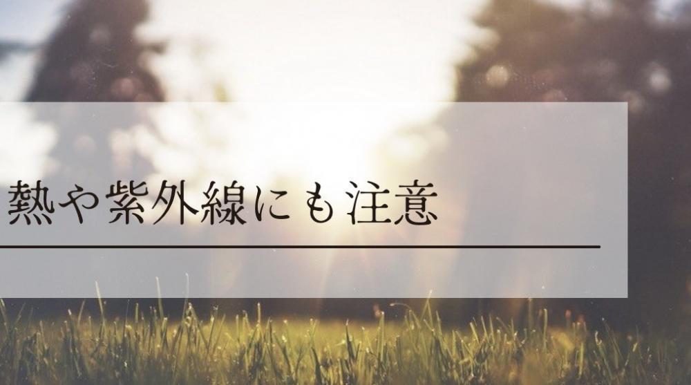 熱や紫外線にも注意