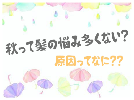 秋って髪の悩み多くない？原因って？？
