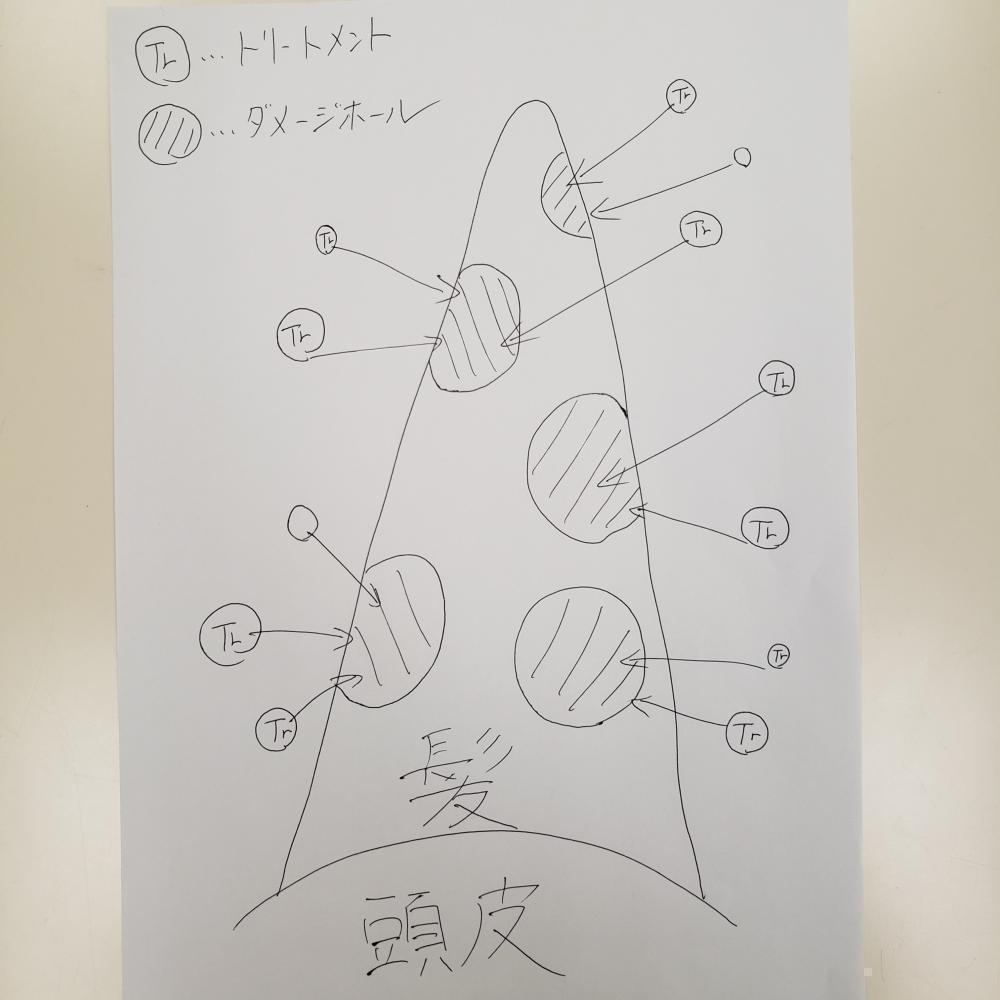 いつものトリートメントによって髪に何がおきてるの？？
