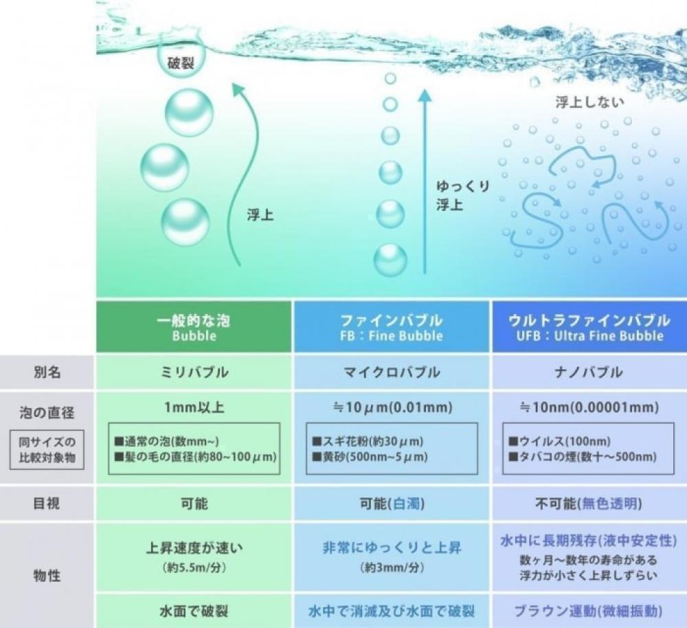 【 NOTTO】シャンプーの特徴