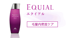 シルエットの整った美しい髪へ　エクイアル