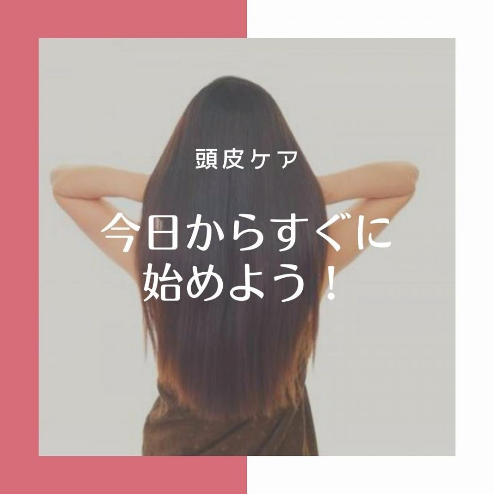 今日から髪の毛もアンチエイジングで、いつまでも美髪！
