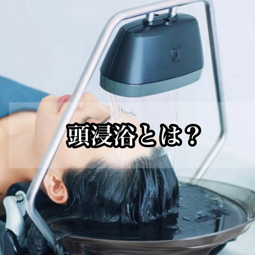 頭浸浴とは？