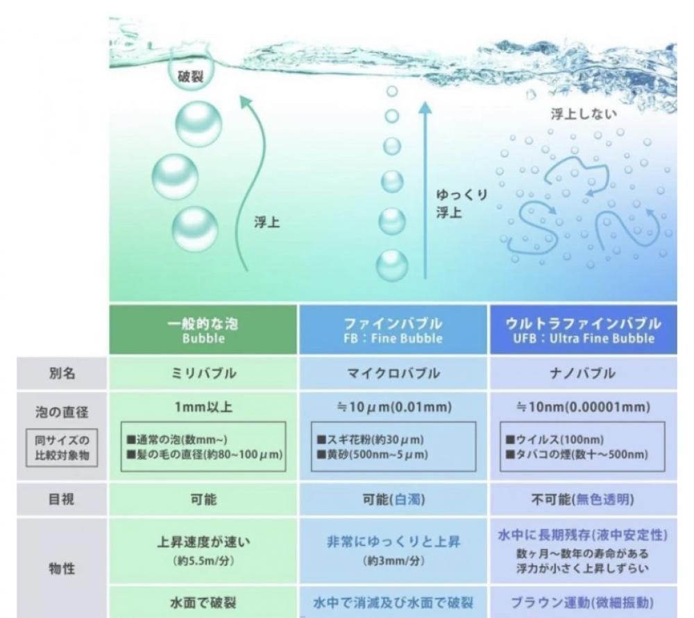 NOTTOシャンプーの特徴