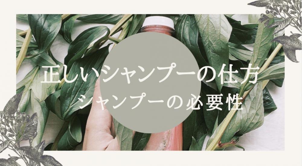 正しいシャンプーの仕方
