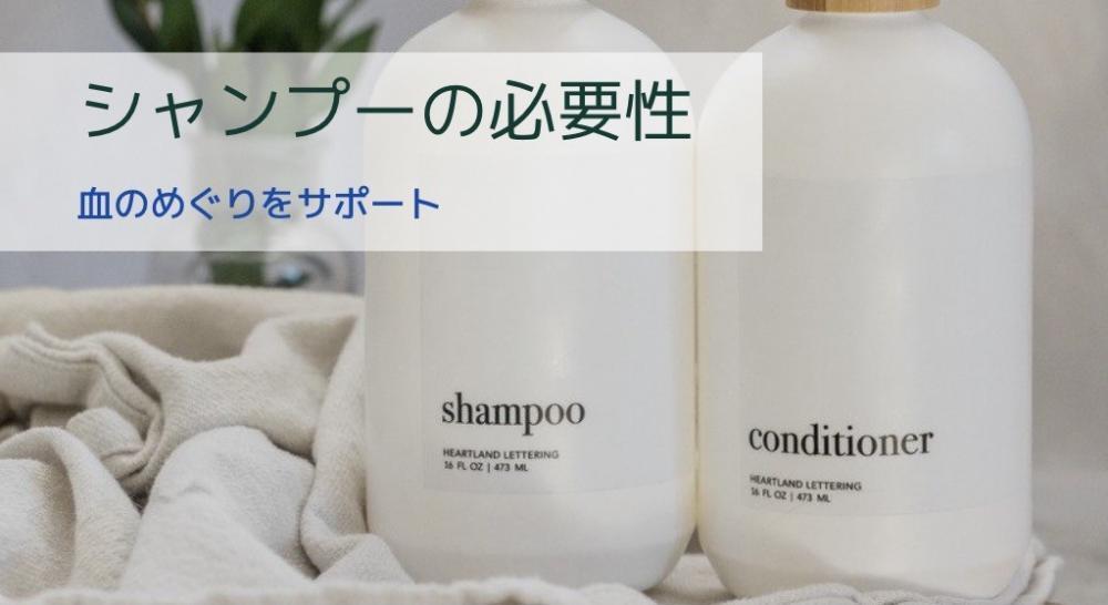 そもそもシャンプーの必要性は？