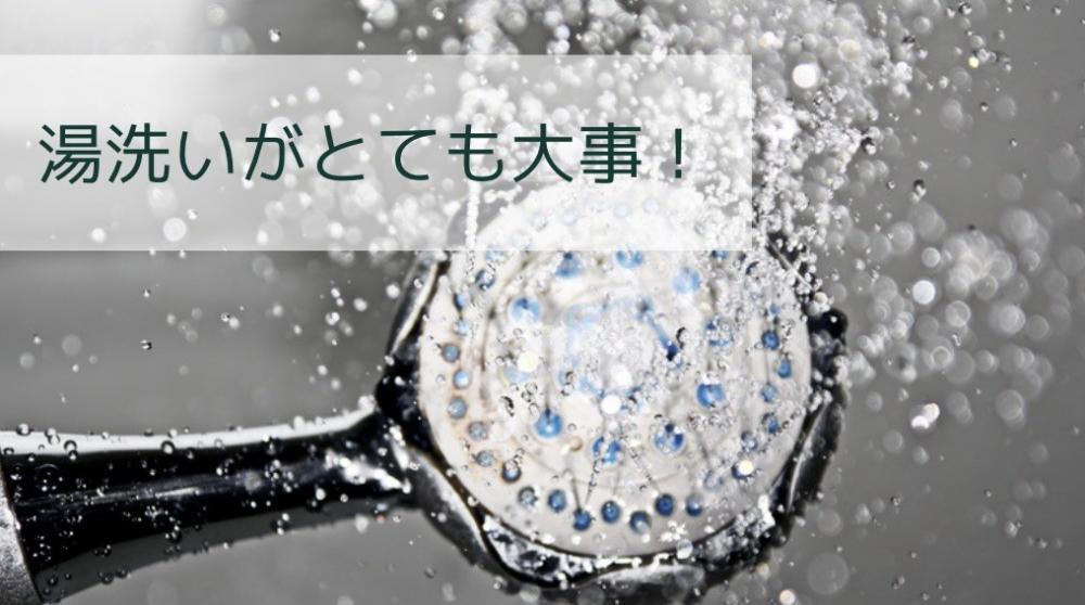 シャンプーは湯洗いが大事