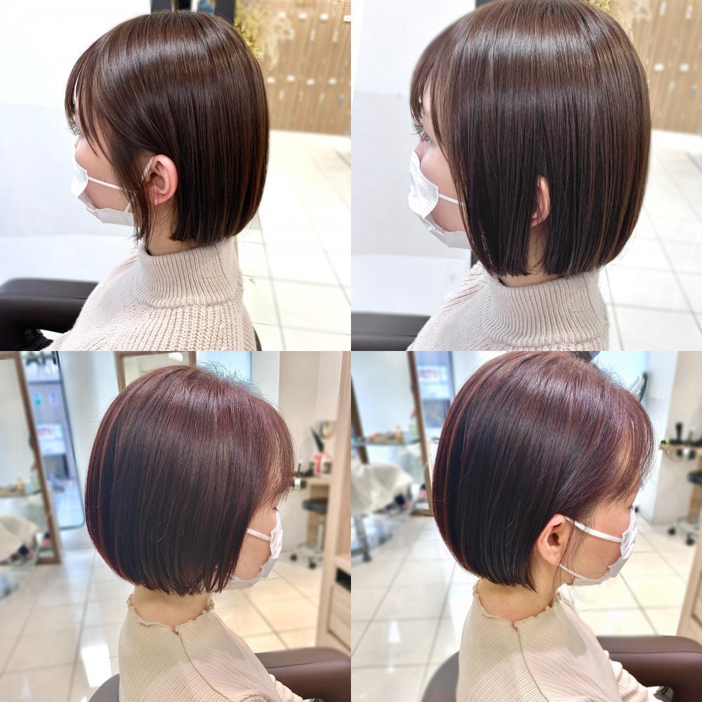 大流行お手入れ簡単！ミニボブ