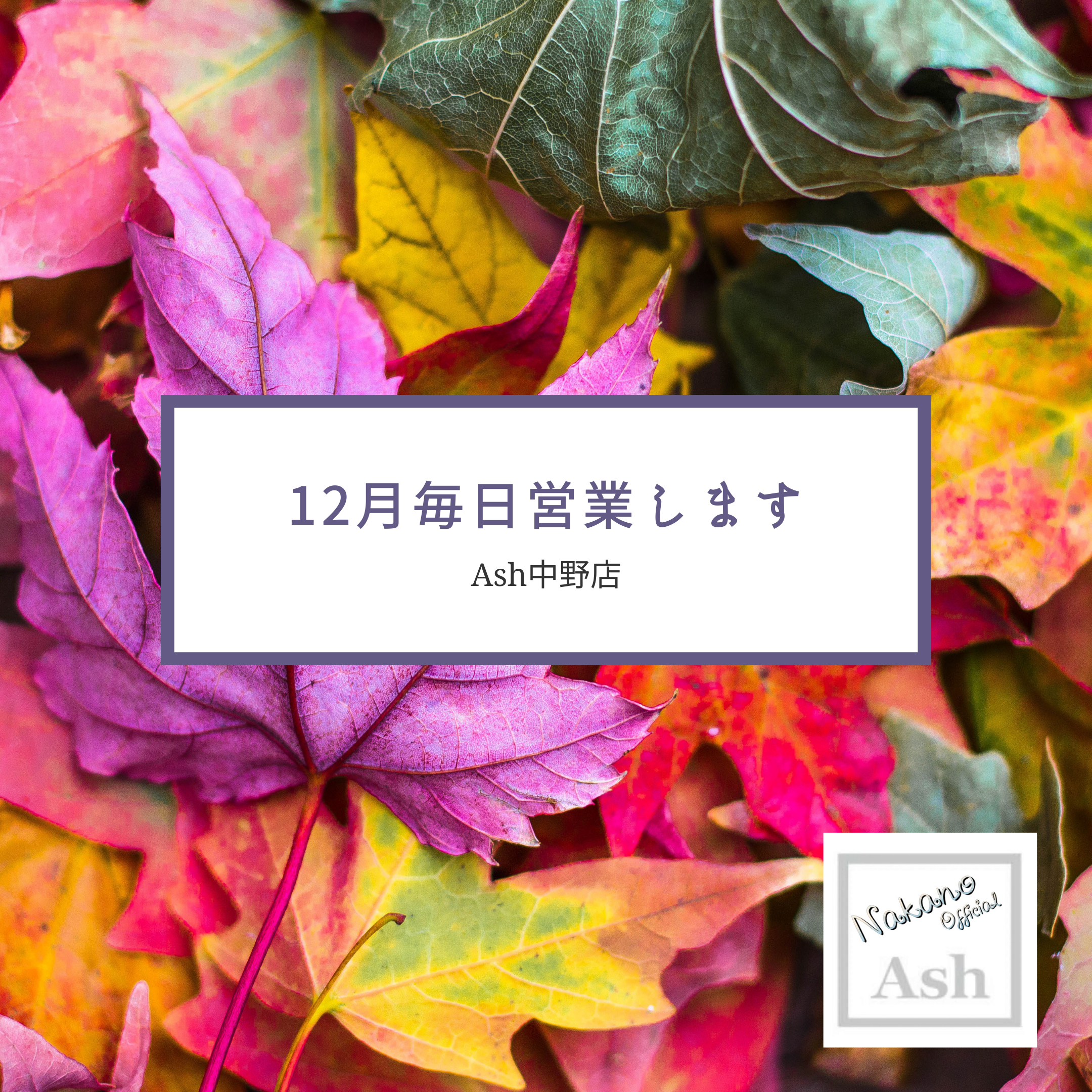 12月毎日営業いたします！